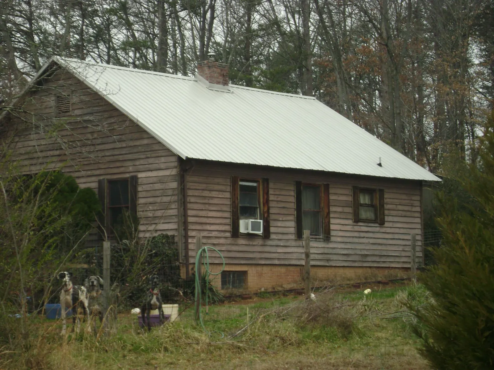 White metal roof on an old wood sided farmhouse, from a Asphalt Shingle Roof Repair job in Bovey